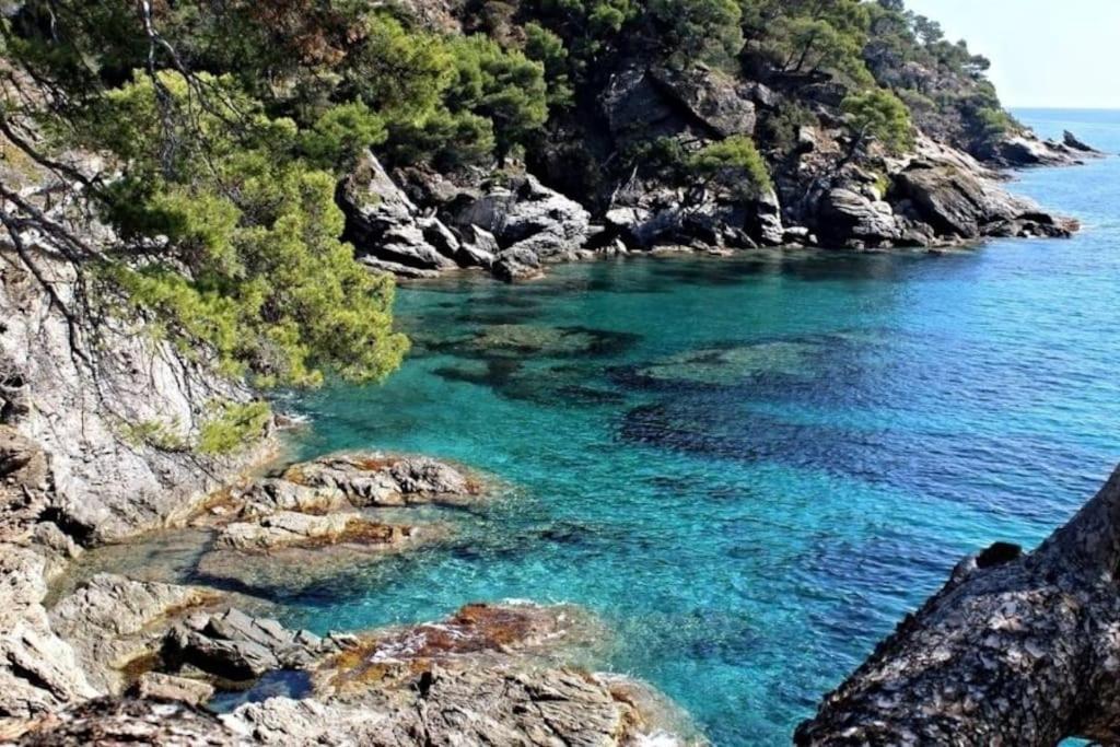 Studio Cosy Au Pied De La Plage Carry-le-Rouet Dış mekan fotoğraf